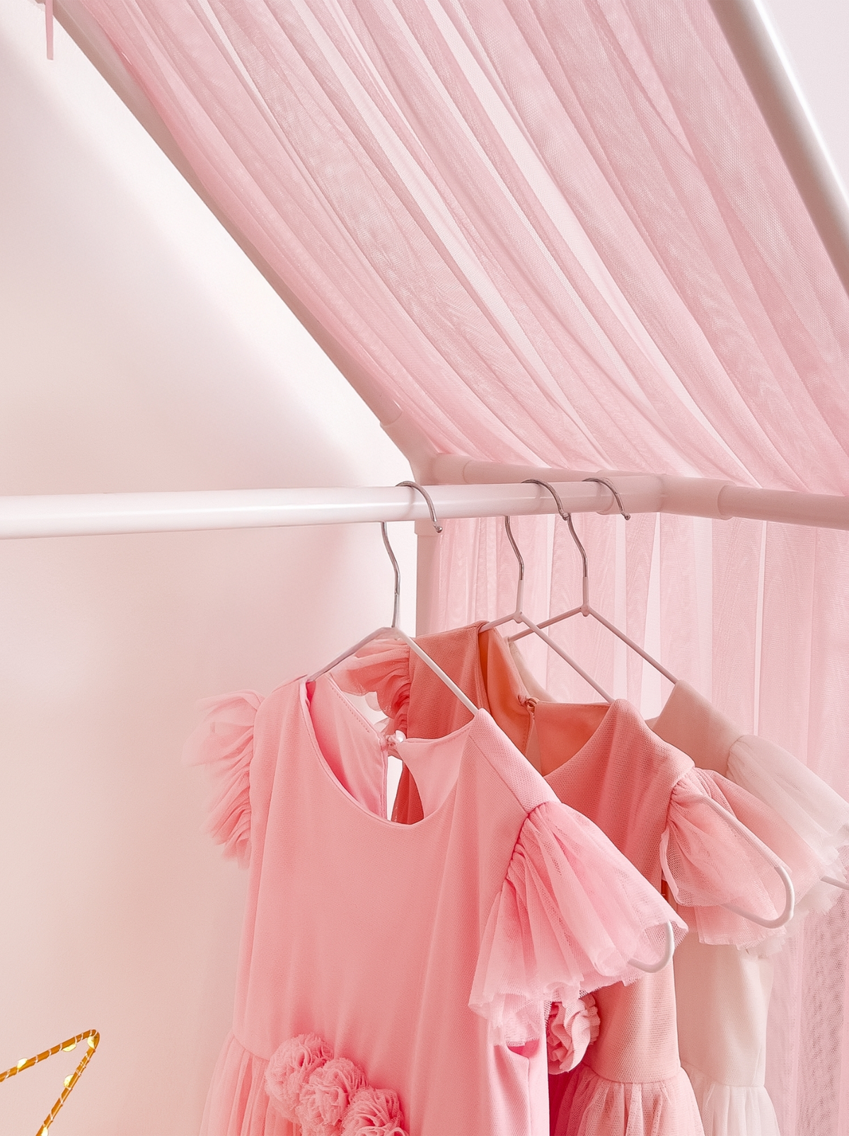 Closet With Canopy