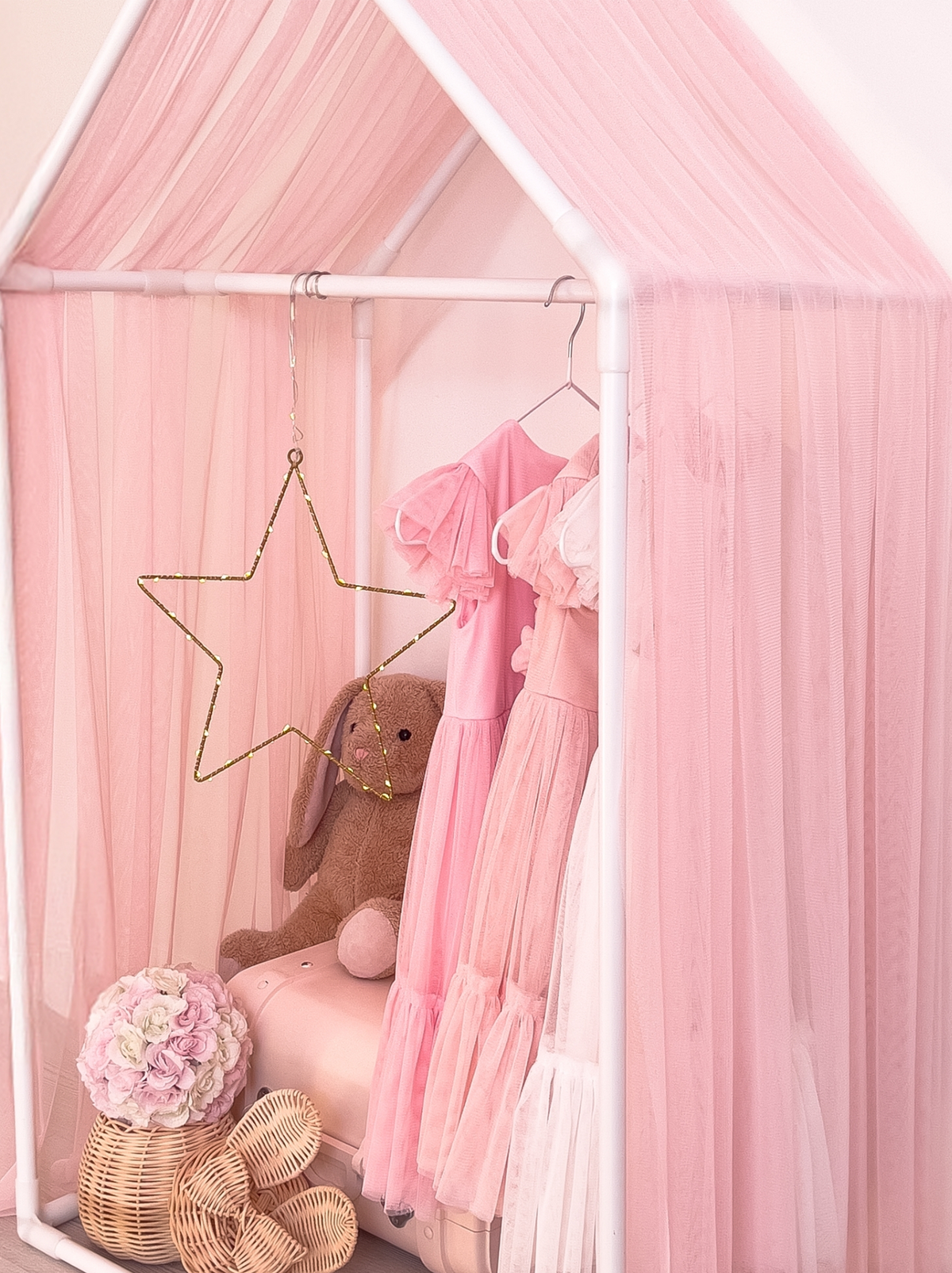 Closet With Canopy