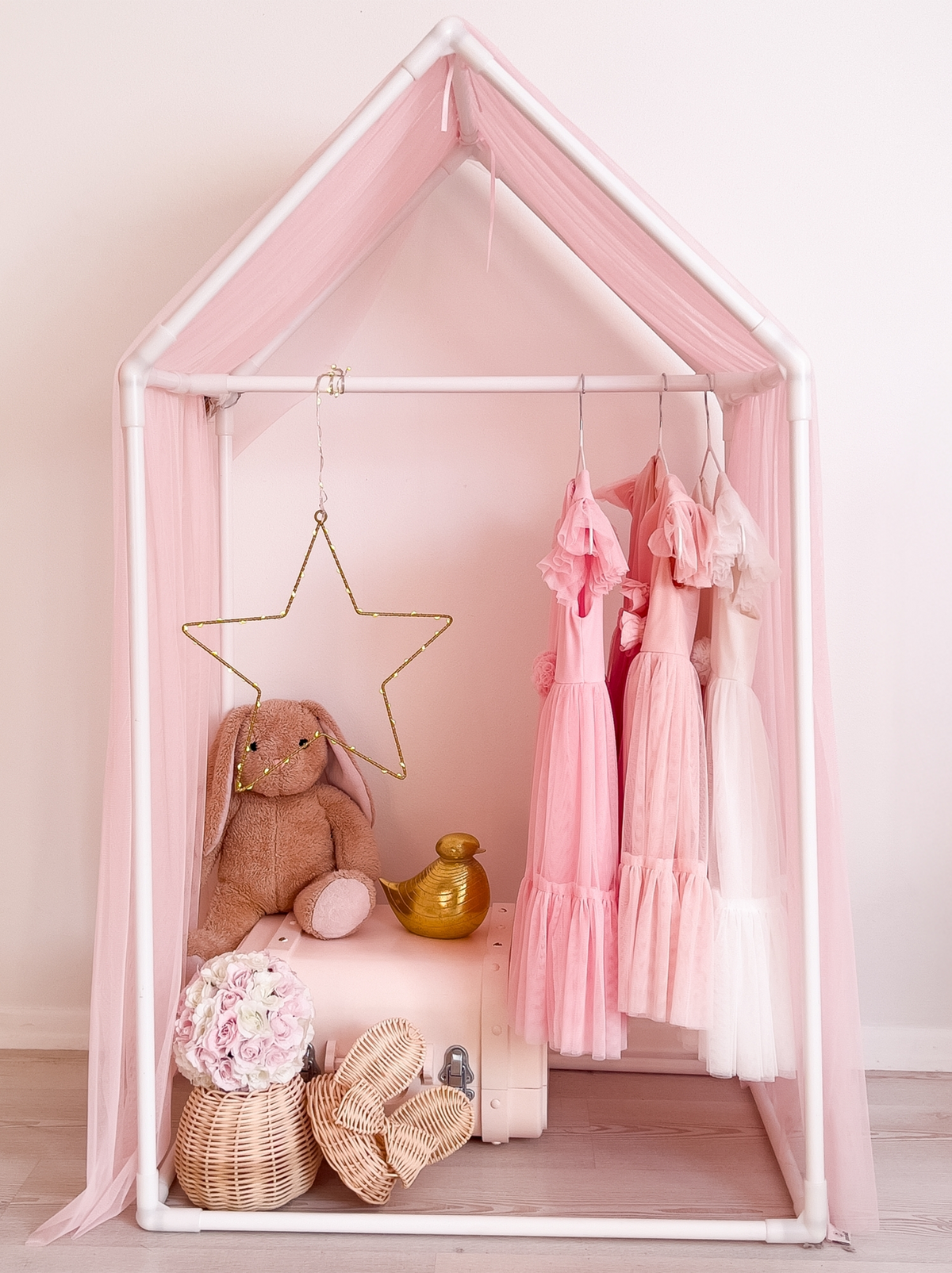 Closet With Canopy