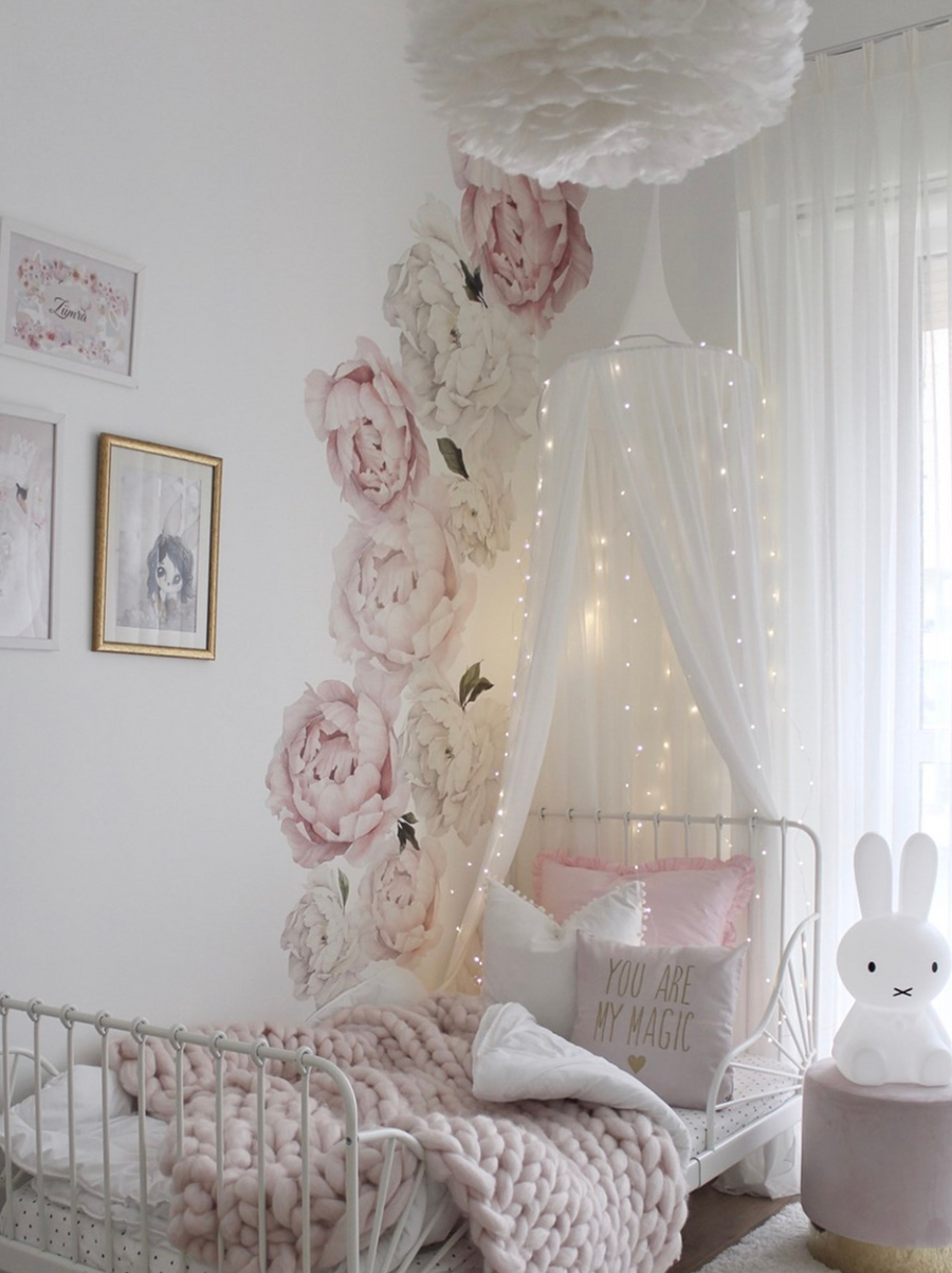 Chiffon Canopy