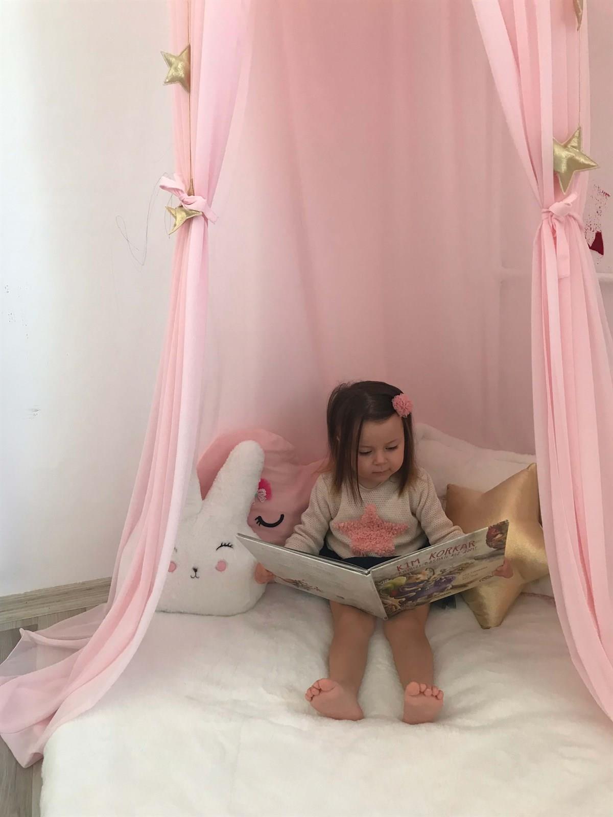 Chiffon Canopy-Powder Pink