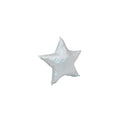 Star Silver Pillow