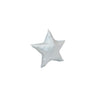 Star Silver Pillow